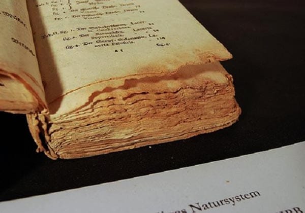Cách xử lý khi sách bị mốc